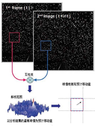 PIV分析