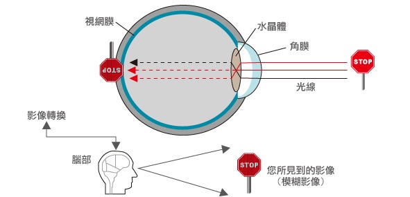 眼動儀成像原理